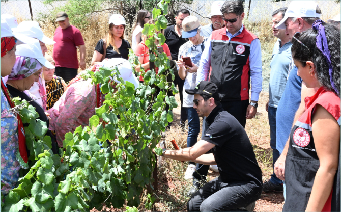 İzmir’de Doğa Dostu Üzüm Üretimi İçin Büyük Adım