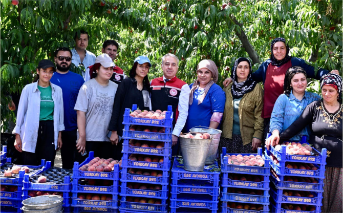 İzmir Tarımında Yeni Destekleme Modeli Yürürlüğe Girdi