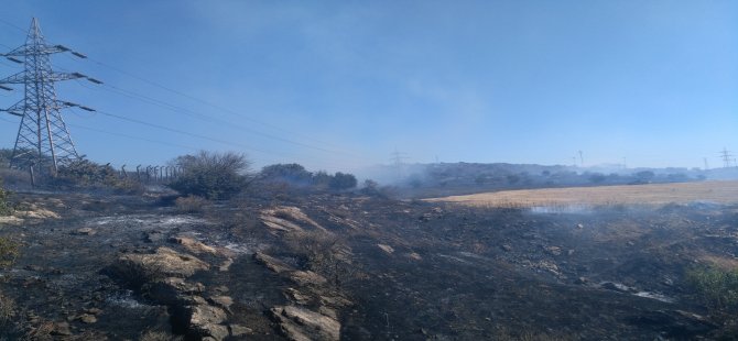 Aliağa Nemrut Sanayi Bölgesi’nde Yangın