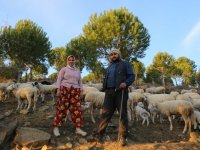 İzmir’in Çoban Haritası çıkarıldı